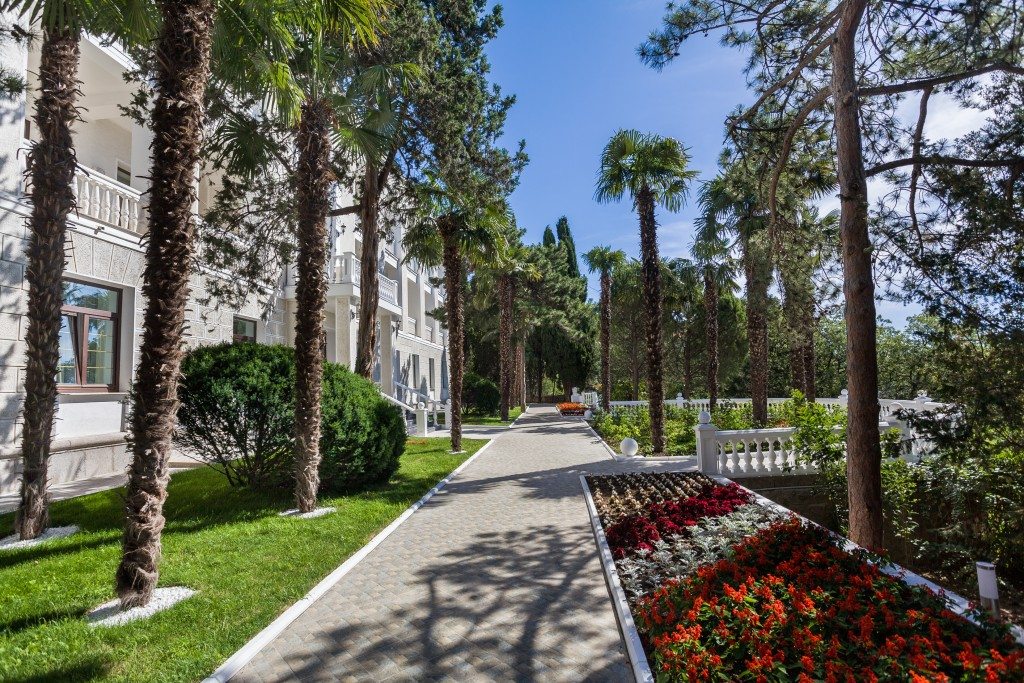 Фотография санатория Сосновая роща