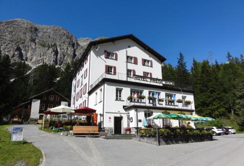 Фотография мини отеля Hotel Preda Kulm