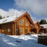 Фотография гостевого дома Luxus-Ferienhaus Blockhaus Chalet Nr 3 Toplage am Feldberg mit Sauna, Outdoor-Hottub, Kamin auf 1300m üM