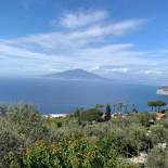 Фотография мини отеля Sorrento Hills