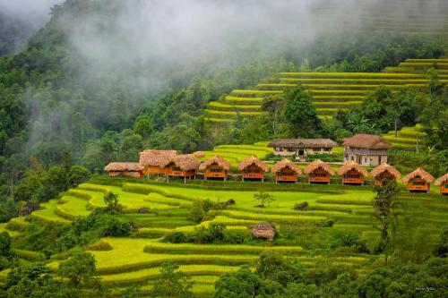 Фотография гостиницы Hoang Su Phi Lodge