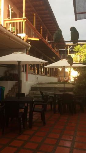 Фотография мини отеля Aroma Cafetera