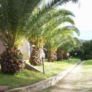 Фотографии гостевого дома 
            Villa del Palmeto
