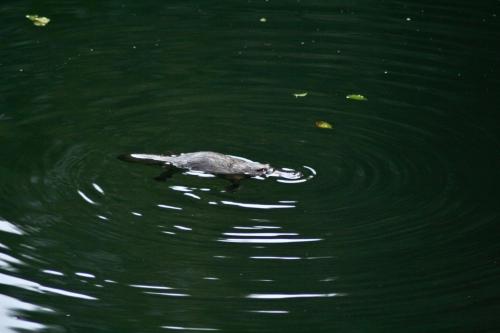 Фотография гостевого дома Kaalba