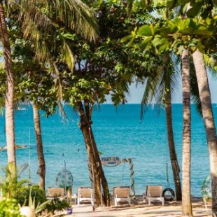 Фотография гостиницы Nhat Lan Resort