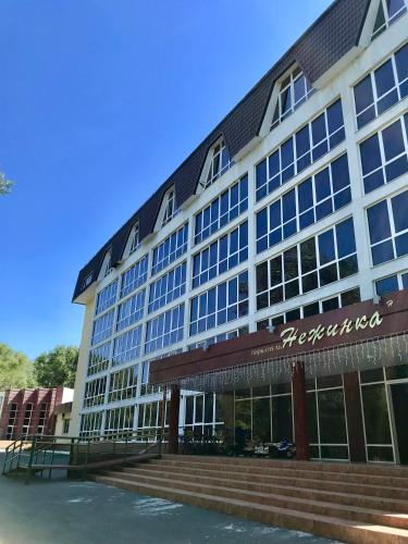 Фотография гостиницы Парк-Отель Нежинка