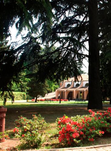 Фотография гостиницы Hotel Pineta