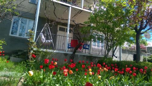 Фотография гостевого дома Nivaldy