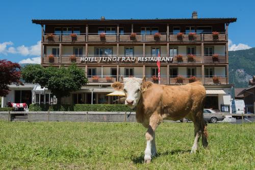 Фотография гостиницы Jungfrau Hotel