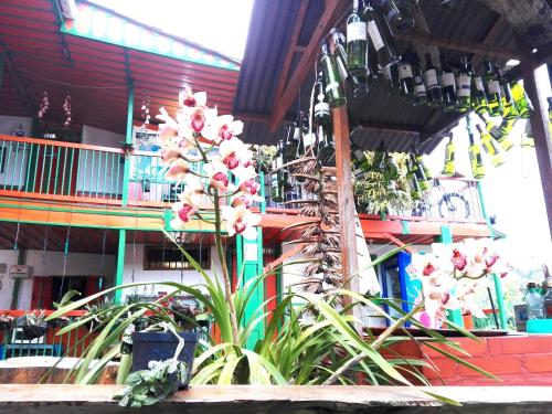 Фотография хостела Hostal Estrella de Agua