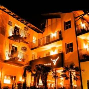 Фотографии гостиницы
Hotel Goldene Traube