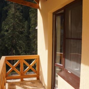 Фотография мини отеля Дубки