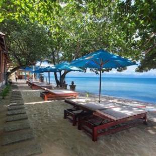 Фотографии гостиницы
Orange Resort