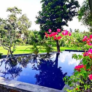 Фотографии мини отеля 
            Medewi Beach View Villa