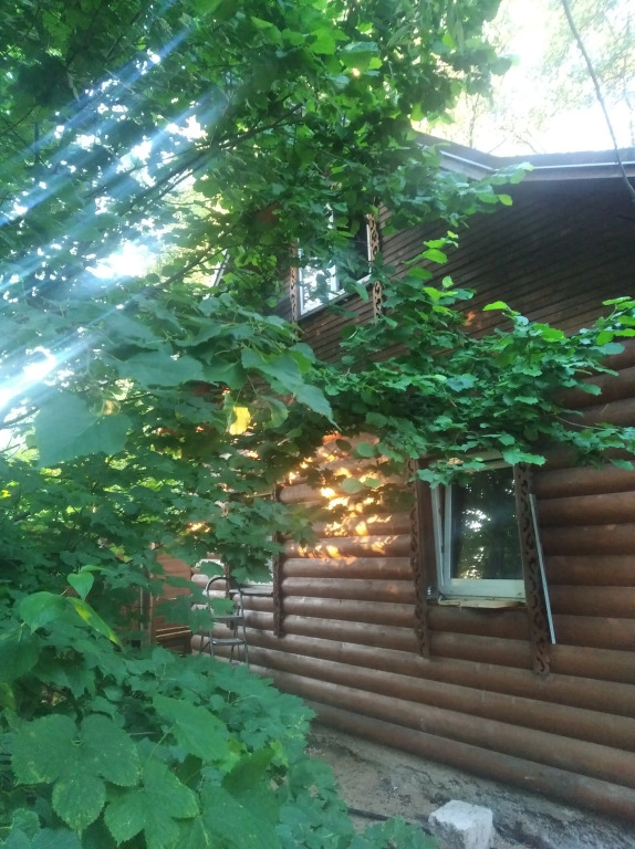 Фотография Коттеджа Частный дом Домик с Баней в Саду