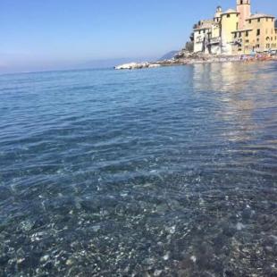 Фотография гостевого дома LaMarina
