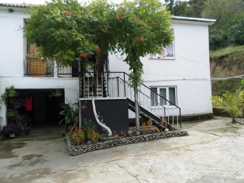 Фотография гостевого дома У Шуры