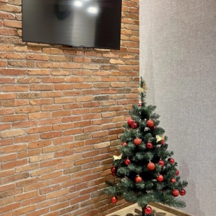 Фотография квартиры Апартаменты Modern Rustaveli Center of Tbilisi