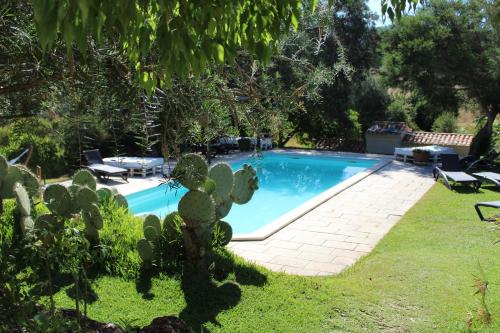 Фотография базы отдыха Quinta Pedagógica da Samoqueirinha - Duna Parque Group