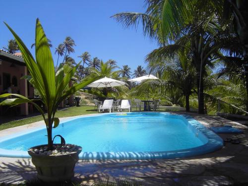 Фотография мини отеля Pousada Entre as Águas