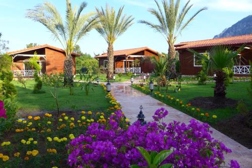 Фотография гостиницы Aida Hotel