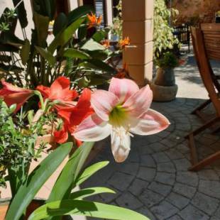 Фотографии гостиницы
Hotel Segles