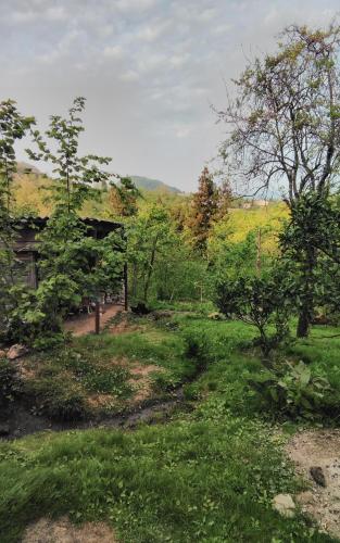 Фотографии гостевого дома
Another Paradise