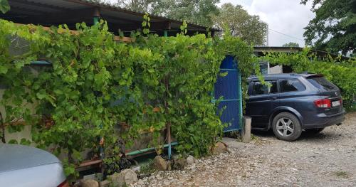 Фотографии гостевого дома
ВЕРА