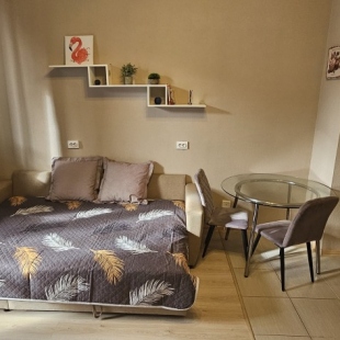 Фотография квартиры Квартира Студия на Менделеева