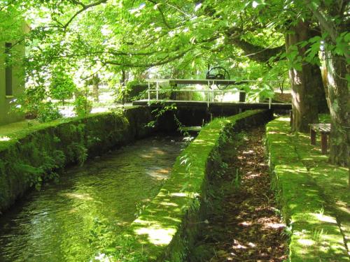 Фотография гостиницы Jardin de Carrejo