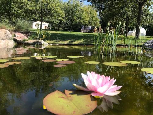 Фотографии гостевого дома 
            Domaine Le Coq Enchanté