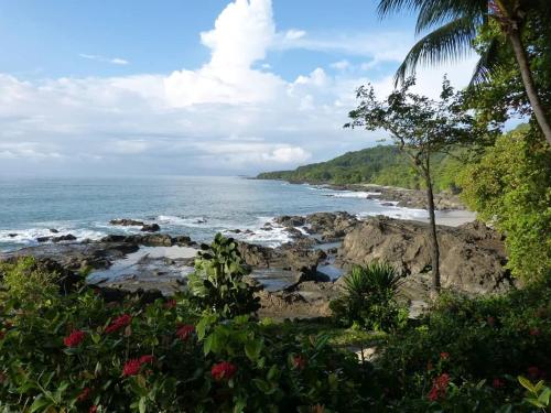 Фотографии хостела 
            Luminosa Montezuma Hostel