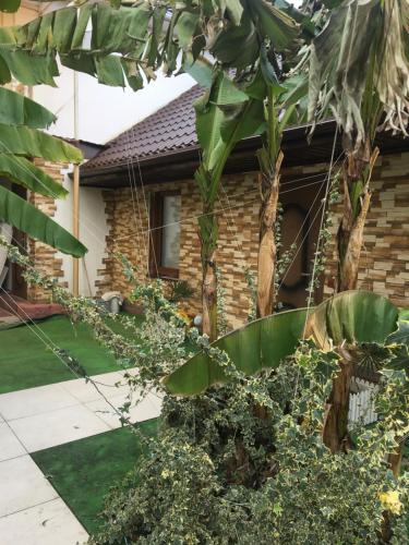 Фотография гостевого дома Зеленый дворик