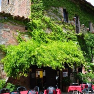 Фотография гостевого дома Agriturismo "old style" - Toscana & Umbria-Lago Trasimeno