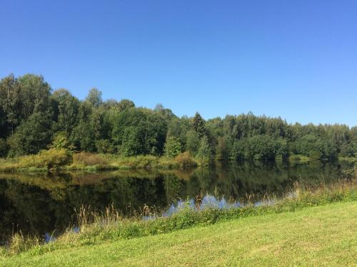 Фотографии гостевого дома
Лаванда