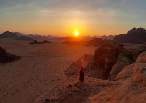Фотографии гостиницы
Wadi Rum