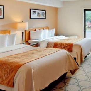 Фотографии гостиницы
Comfort Inn Brandon