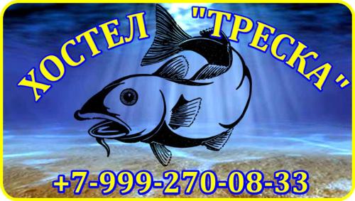 Фотографии хостела
Треска