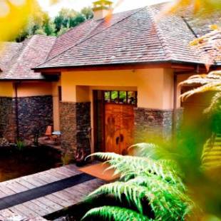 Фотография гостиницы Treetops Lodge & Estate