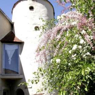 Фотография гостевого дома Côté-Serein - Les chambres du Clos-Malo