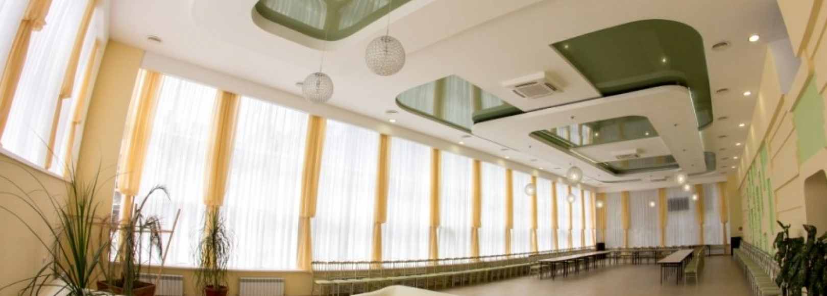 Фотография конференц-зала Сосны