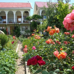 Фотография мини отеля Светлячок