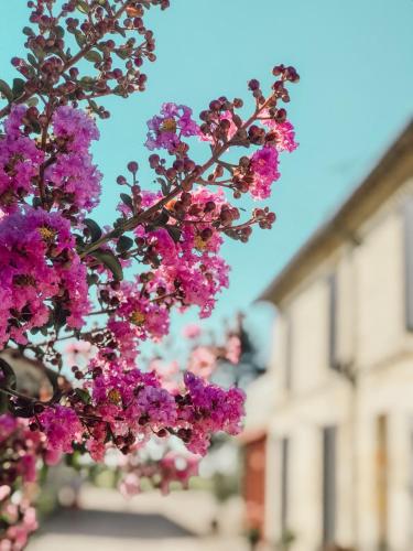 Фотография мини отеля l'Orangerie de La Pontête