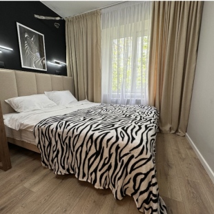 Фотография квартиры Апартаменты Атмосфера Зебра