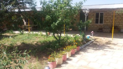 Фотография гостевого дома РИАЛ