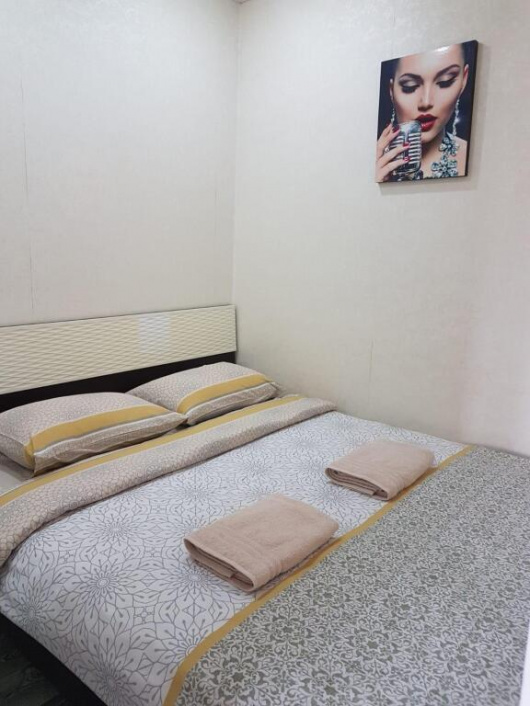 Фотографии квартиры 
            Апартаменты в микрорайоне Мирный 3/5