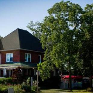 Фотографии мини отеля
Inn 31