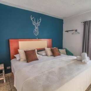 Фотография хостела Lool Beh Hostal&Spa