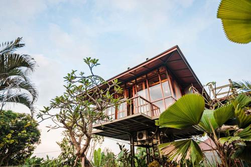 Фотографии гостевого дома 
            Grün Canggu