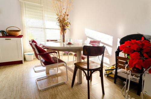 Фотография гостевого дома CASA ENCANTADORA VTAR/SE/180